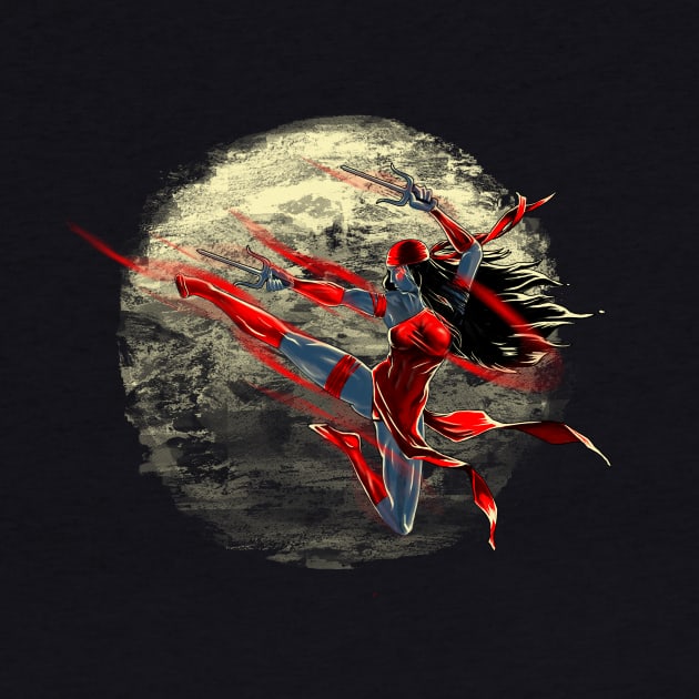 Elektra Ninja Warrior by Ionfox